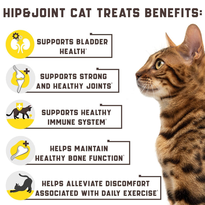 FlexiCat Glucosamine Chews: Joint Support for Cats
