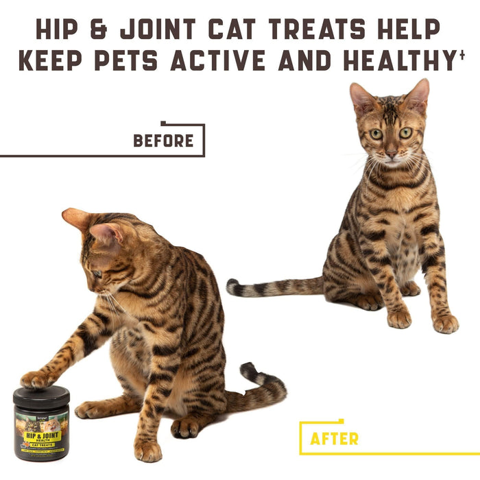 FlexiCat Glucosamine Chews: Joint Support for Cats