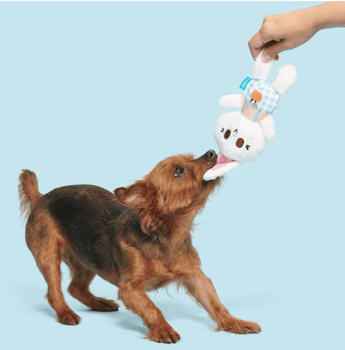 Garden Gnomies Best Friend Dog Toy Gift Basket - Glad Dogs Nation | ALL Profits Donated