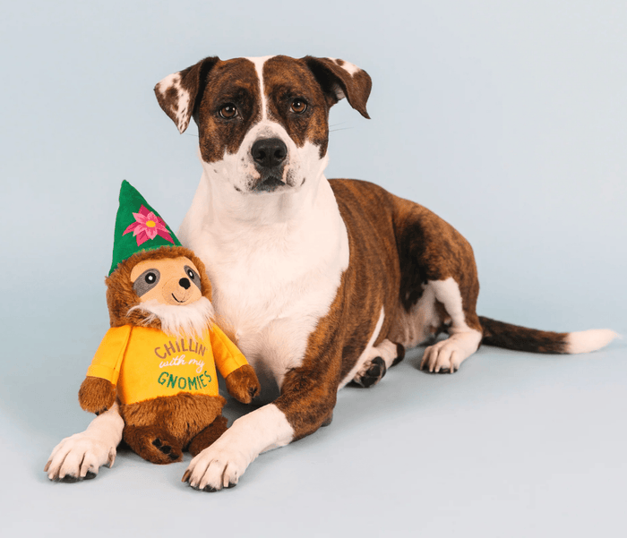 Garden Gnomies Best Friend Dog Toy Gift Basket - Glad Dogs Nation | ALL Profits Donated