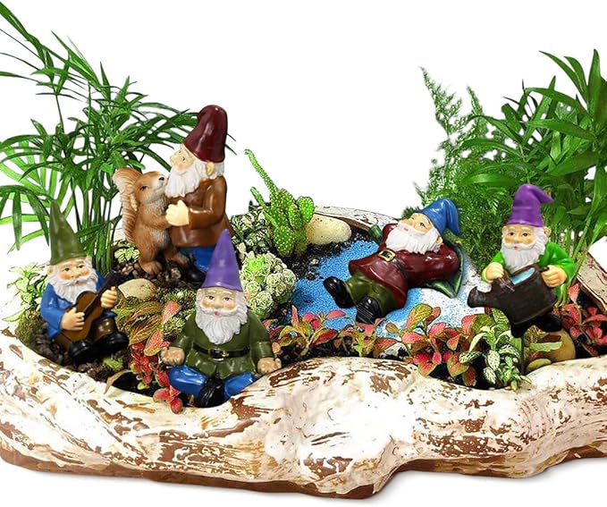 Miniature gnome garden figurine set on shell-shaped planter with succulents and colorful gnomes
