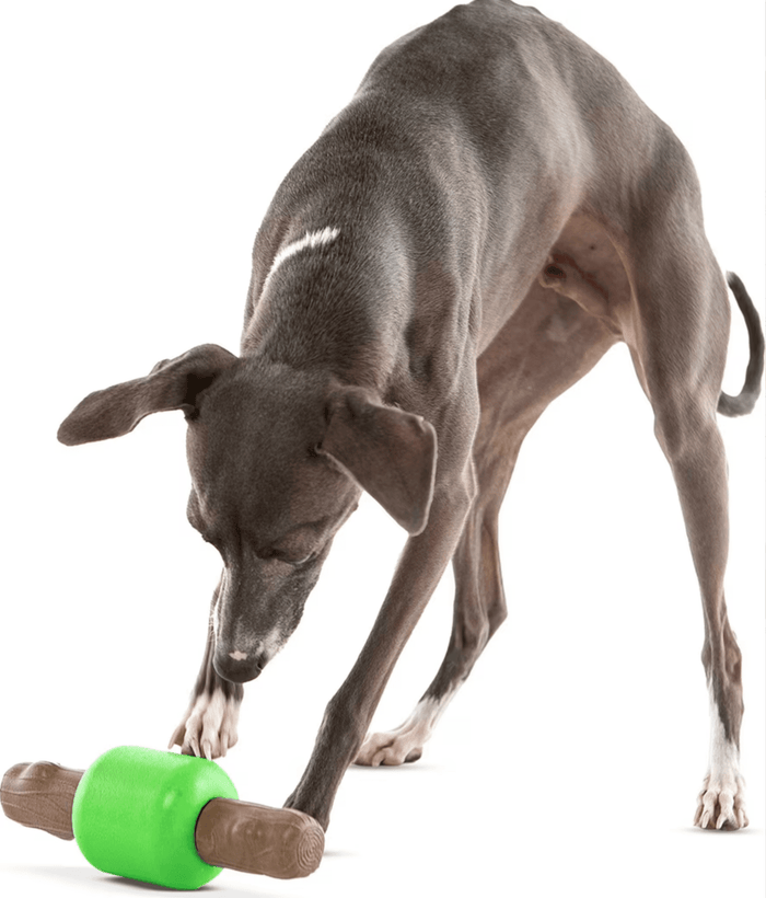 GURU Pet Company Spin & Treat Stick Interactive Dog Toy Medium - Glad Dogs Nation | ALL Profits Donated