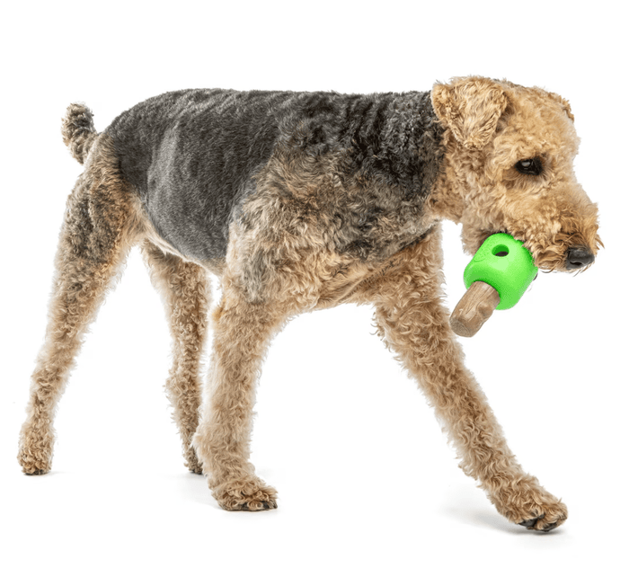 GURU Pet Company Spin & Treat Stick Interactive Dog Toy Medium - Glad Dogs Nation | ALL Profits Donated