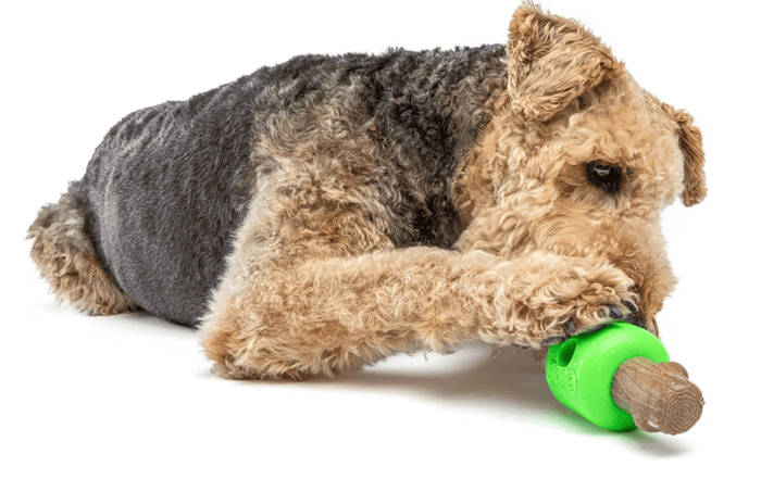 GURU Pet Company Spin & Treat Stick Interactive Dog Toy Medium - Glad Dogs Nation | ALL Profits Donated