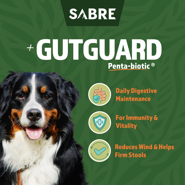 GutGuard Penta-biotic® Digestive Supplement for Dogs