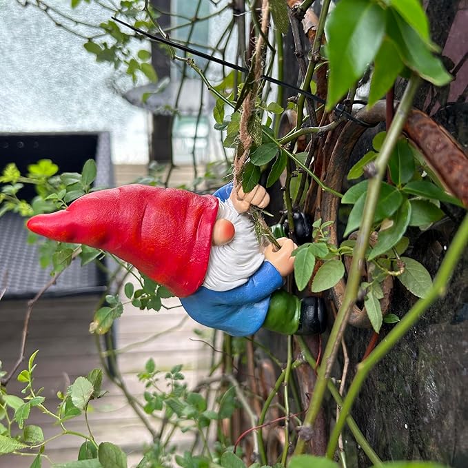 Climbing gnome statue on rope beside shrubs, red hat and white beard, blue body, green pants