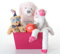 Happy Birthday Pink & SQUEAKY Dog Gift Basket: 3 Sizes - Glad Dogs Nation | ALL Profits Donated