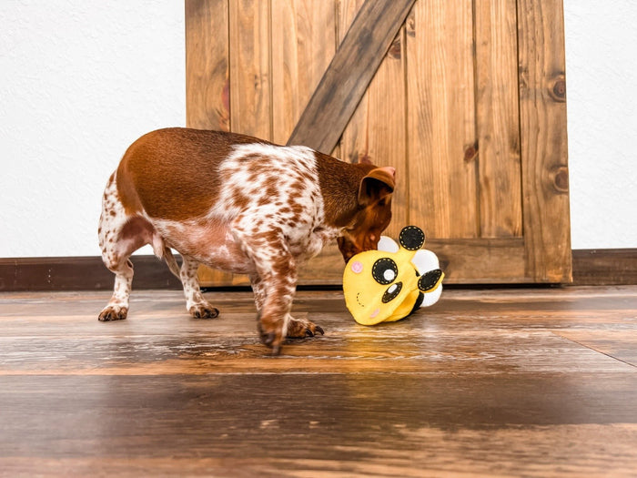 Hound Hugger DIY Busy Bee Snuffle Pattern Kit - Glad Dogs Nation | ALL Profits Donated