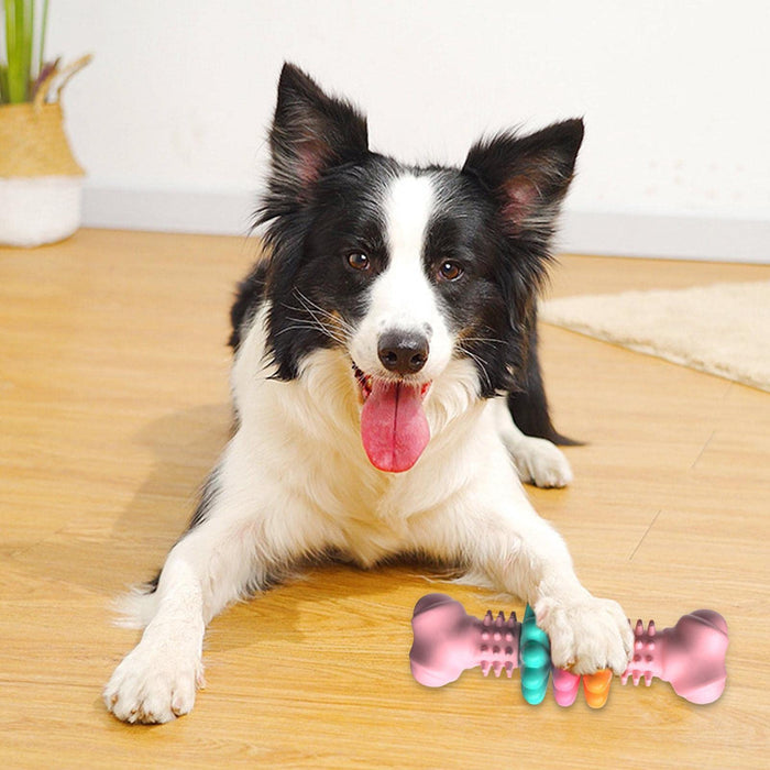 Indestructible Dog Chew Bone Toy