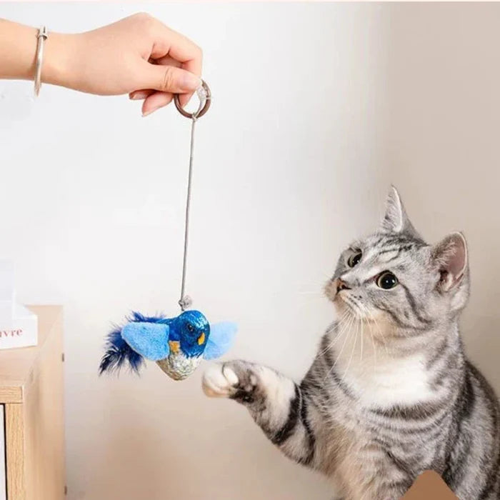 Plush bird cat teaser toy on a string, held by a hand; blue and orange feathered toy