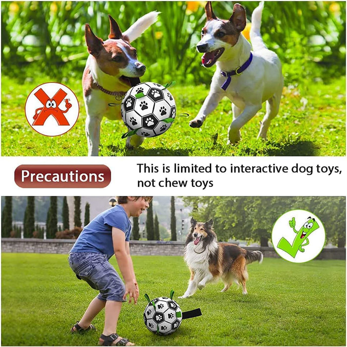 Interactive Dog Football with Straps