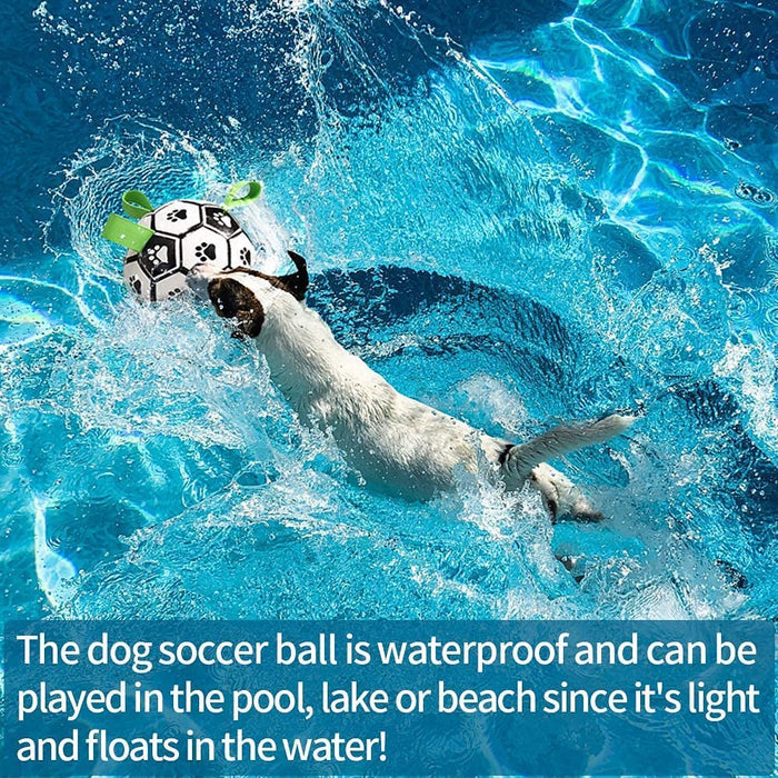 Interactive Dog Football with Straps