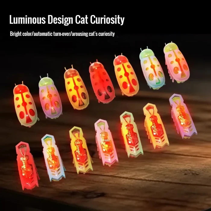 Luminous electric cat curiosity bug toys set with glowing dome bodies