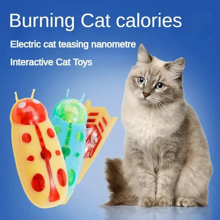 Electric glowing beetle-style cat toy with translucent yellow-green body