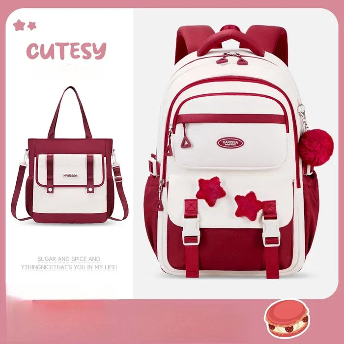 Wine Red Tuition bag