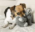 KONG Comfort Kiddos Elephant Removable Squeaker Plush Dog Toy: 2 Sizes - Glad Dogs Nation | ALL Profits Donated