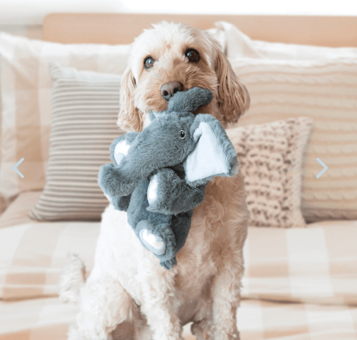 KONG Comfort Kiddos Elephant Removable Squeaker Plush Dog Toy: 2 Sizes - Glad Dogs Nation | ALL Profits Donated