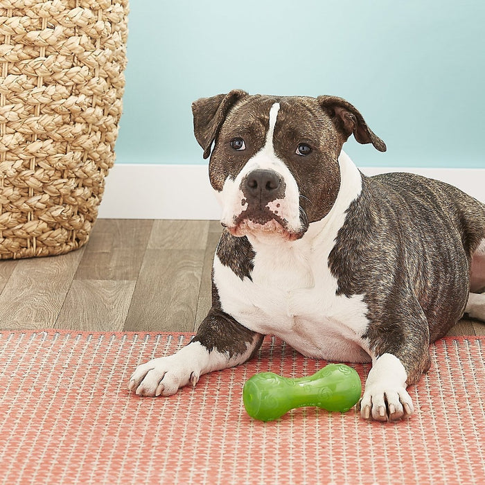 Kong Squeezz Squeak Dumbbell: 3 Sizes • Choose Color • CHEAPER THAN CHEWY! - Glad Dogs Nation | ALL Profits Donated