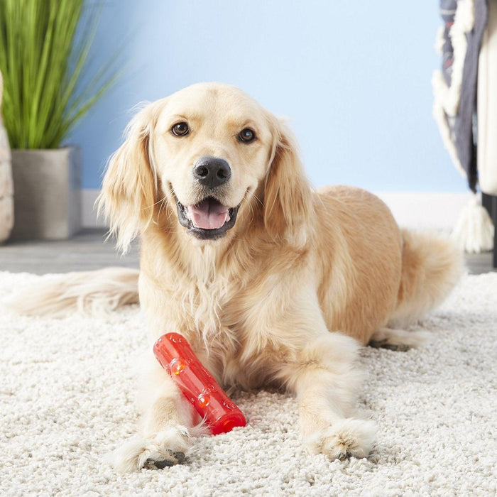 KONG Squeezz Stick Squeaky Dog Toy • Choose Color • CHEAPER THAN CHEWY - Glad Dogs Nation | ALL Profits Donated
