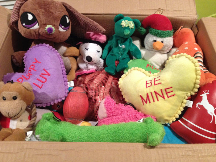 LARGE Hearts, Love & Candy Dog Toys Squeak & NO Squeak - Glad Dogs Nation | ALL Profits Donated