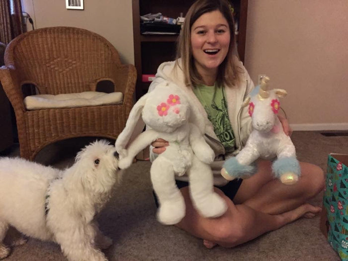 25% OFF! Large SQUEAKY Dog & Puppy Toys / For 50 - 70 lb. Pups - Glad Dogs Nation | ALL Profits Donated