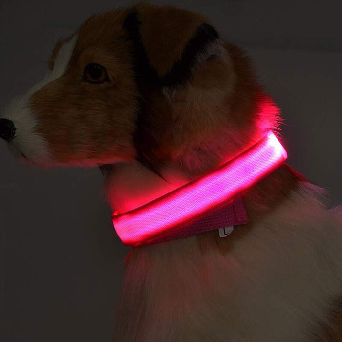LED Night-Walk Pet Neon Collar