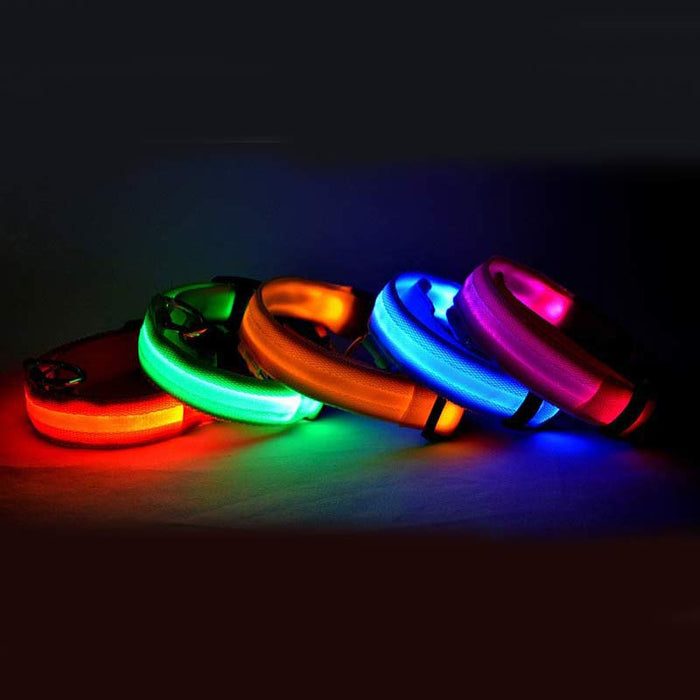 LED Night-Walk Pet Neon Collar