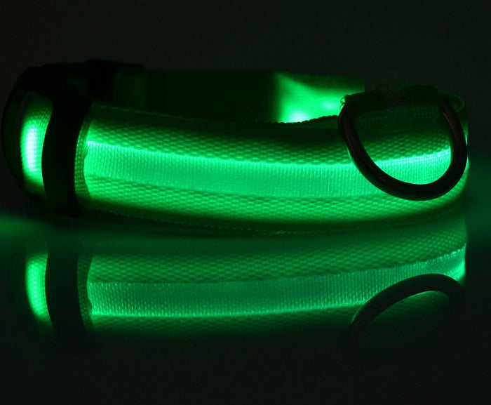LED Night-Walk Pet Neon Collar