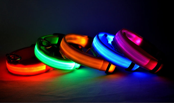 LED Night-Walk Pet Neon Collar