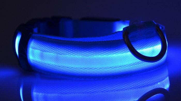 LED Night-Walk Pet Neon Collar