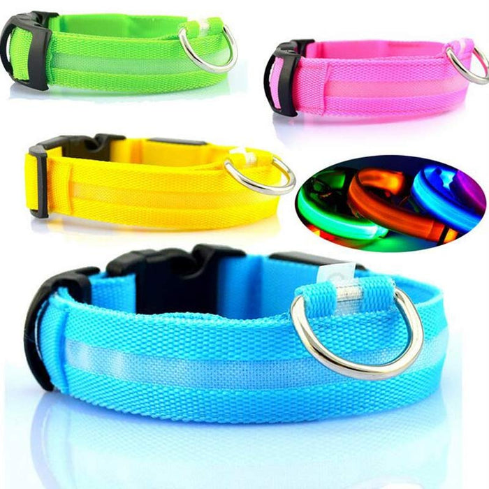 LED Night-Walk Pet Neon Collar