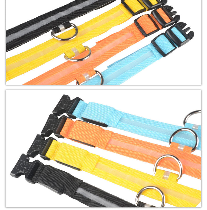 LED Night-Walk Pet Neon Collar