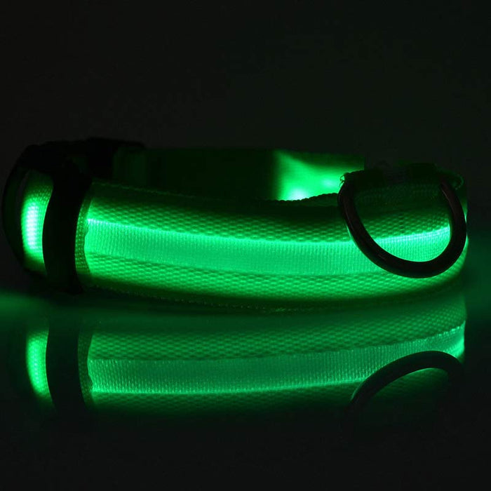 LED Night-Walk Pet Neon Collar