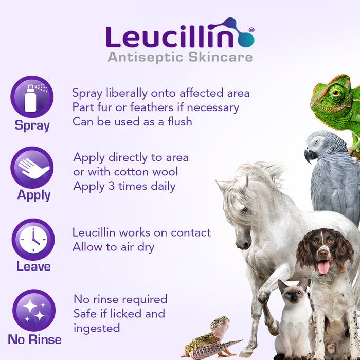 Leucillin Natural Antiseptic Skincare Spray For Pets (60ml)