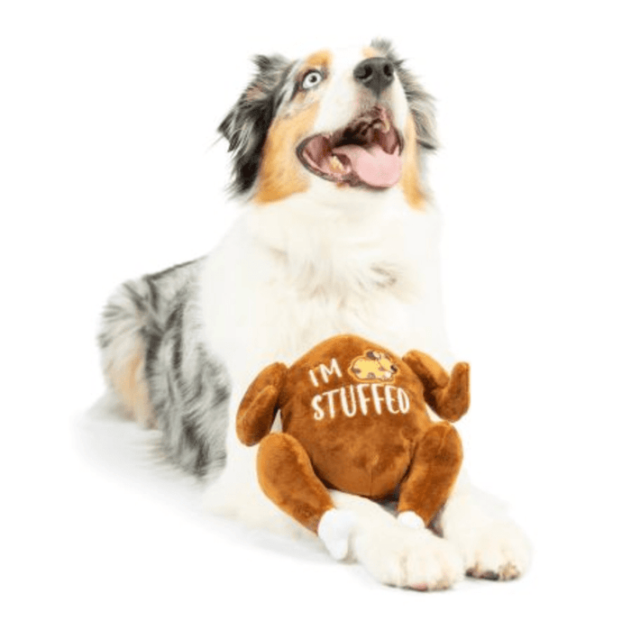 Lulubelles I'm Stuffed Turkey Squeak & Crinkle Dog Toy: 2 Sizes - Glad Dogs Nation | ALL Profits Donated