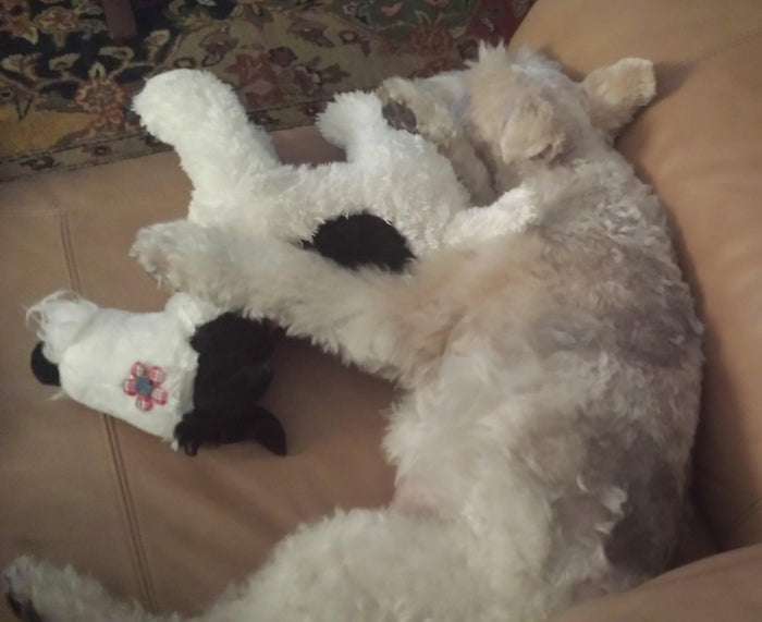 Mini Me Squeaky Breed Dog Toy: Fox Terrier - Glad Dogs Nation | ALL Profits Donated