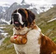 Mini Me Squeaky Breed Dog Toy: St. Bernard - Glad Dogs Nation | ALL Profits Donated