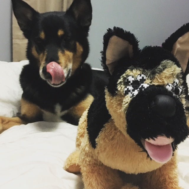 Mini Me Squeaky & NO Squeak Breed Dog Toy: German Shepherd - Glad Dogs Nation | ALL Profits Donated