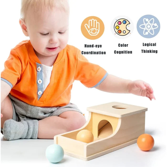Montessori Wooden Ball Drop Toy – Early Learning Fun