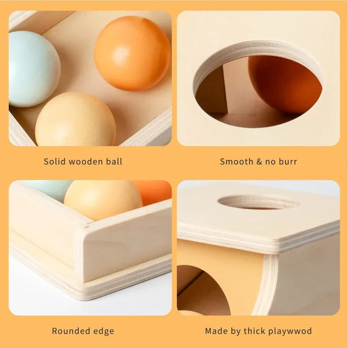 Montessori Wooden Ball Drop Toy – Early Learning Fun