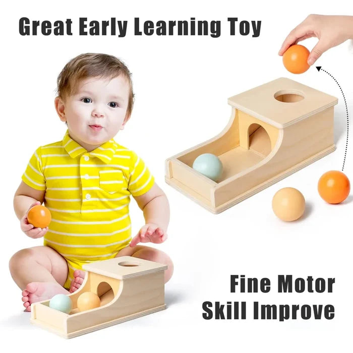 Montessori Wooden Ball Drop Toy – Early Learning Fun