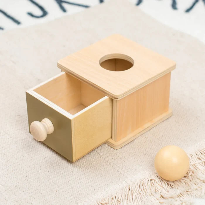 Montessori Wooden Ball Drop Toy – Early Learning Fun