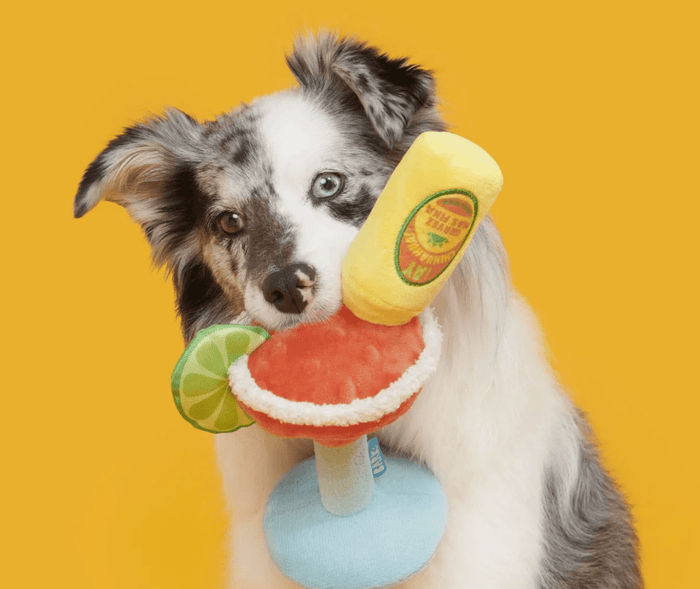 NEW! BARK Bulldog Barkarita Squeaky & Crinkly Dog Toy - Glad Dogs Nation | ALL Profits Donated