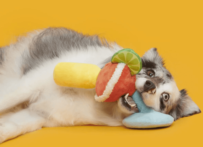NEW! BARK Bulldog Barkarita Squeaky & Crinkly Dog Toy - Glad Dogs Nation | ALL Profits Donated