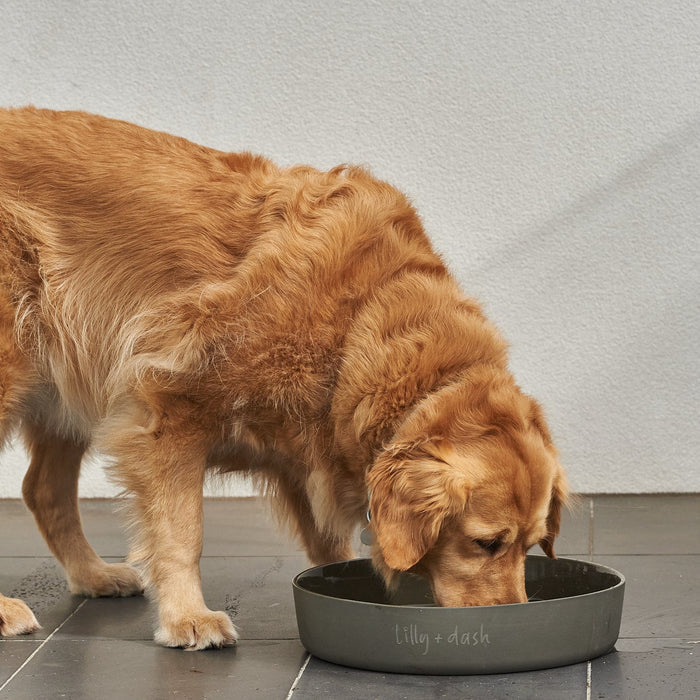 Outdoor Pet Water Bowls