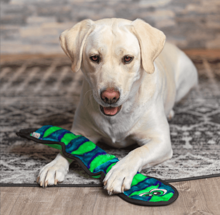 Outward Hound Durablez Snake Blue: Large 3 Squeakers, No Stuffing - Glad Dogs Nation | ALL Profits Donated