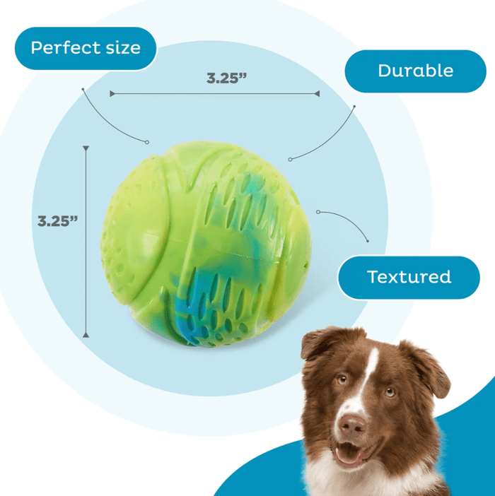 Outward Hound Grunt N Punt Squeaky Tennis Ball Dog Toy 3.5" - Glad Dogs Nation | ALL Profits Donated