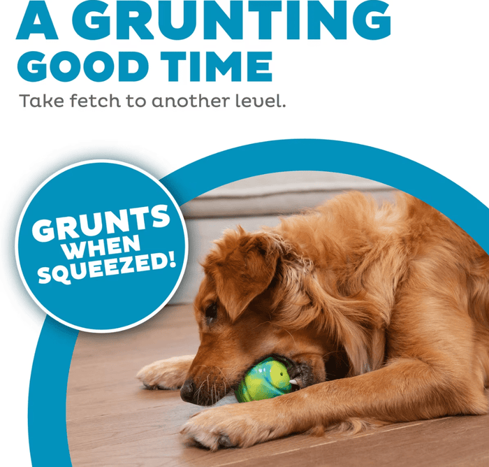 Outward Hound Grunt N Punt Squeaky Tennis Ball Dog Toy 3.5" - Glad Dogs Nation | ALL Profits Donated