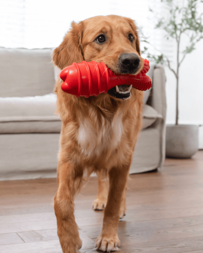 Outward Hound Grunting Fetch Stick Red Bunny Dog Toy - Glad Dogs Nation | ALL Profits Donated