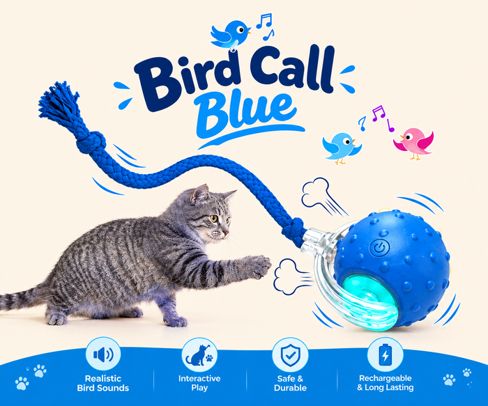 Pawluxe™ Interactive Rolling Pet Toy